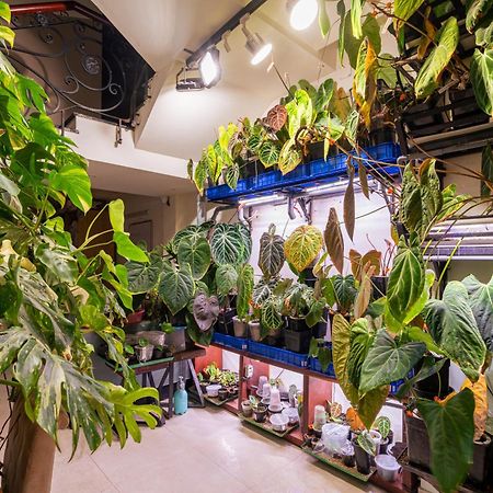 Amango Home Ho Chi Minh-byen Eksteriør bilde
